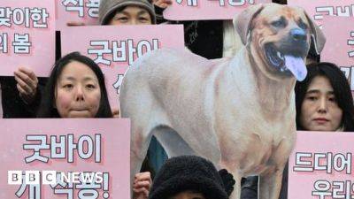 Dog meat: Why is it a sensitive topic in South Korea? - bbc.com - South Korea - North Korea - Germany -  Seoul