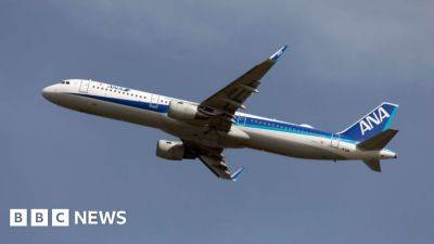 Flight returns to Japan after ‘drunk’ man bites crew member - bbc.com - Japan -  Tokyo - Usa - North Korea