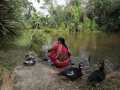 The Sundarbans dilemma: Islands swallowed by water, and nowhere else to go