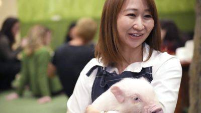 Forget cat cafes, Japan now has coffee shops where you can cuddle a pig
