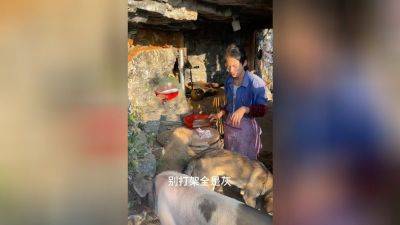 The 21-year-old ‘retiree’ who left China’s rat race for life in the rural mountains - edition.cnn.com - China - Hong Kong - province Guizhou - province Guangdong