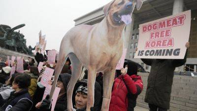 Yoon Suk Yeol - Dog meat production and sales will soon become illegal in South Korea - apnews.com - China - Indonesia - South Korea - North Korea -  Seoul, South Korea - Vietnam