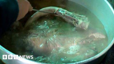 South Korea: Dog meat still on the menu in Seoul... for now - bbc.com - South Korea -  Seoul
