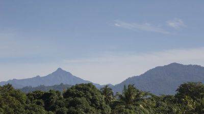 The woman fighting to save the Philippines’ last rainforests