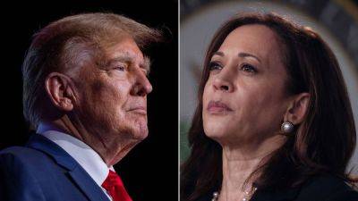 Donald Trump - Joe Biden - Lai Ching - Elon Musk - Chip Wars - Chee Meng Tan - Kamala Harris - The Conversation - What China wants from the next US president - asiatimes.com - China - Taiwan - Usa - Washington - county Day - Ukraine - city Beijing - city Washington - city Taipei