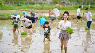 Young Chinese are 'retiring' in the countryside as China's unemployment woes grate