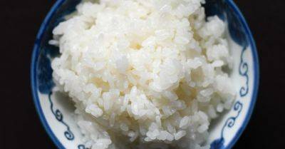 The Quest to Save the ‘King’ of Japanese Rice From Rising Temperatures