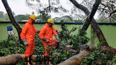 Flood risk as Cyclone Dana hits India, uprooting power lines and trees