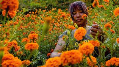 Nepali women bloom amid garland industry’s flowering prosperity