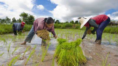 Aidan Jones - Thailand’s poorest hail US$14 billion cash handout scheme - ‘we can breathe’ - scmp.com - Usa - Thailand