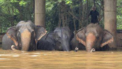 Flooding from seasonal rains threatens residents in northern Thailand, including elephants