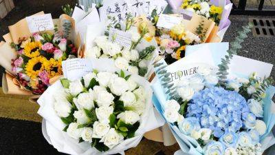 False claims of Chinese crime wave in Japan ignite outrage after boy’s stabbing