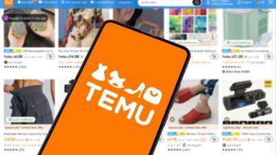 Indonesia bans Temu over fears Chinese shopping giant will ‘destroy’ local SMEs