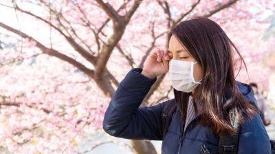 Japan steps up battle against pollen season to help hay fever sufferers breathe easier