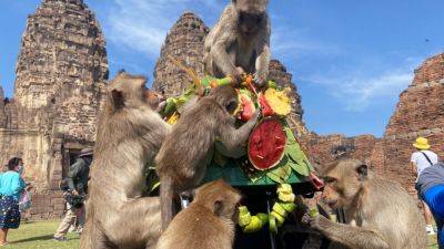 Chinese investments on hold, residents flee as 3,500 monkeys take over Thai city