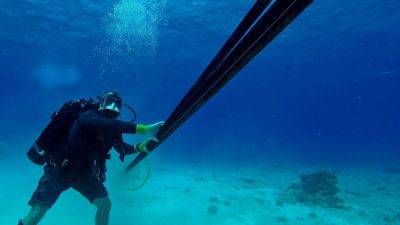 Quad needs to protect vulnerable undersea cables