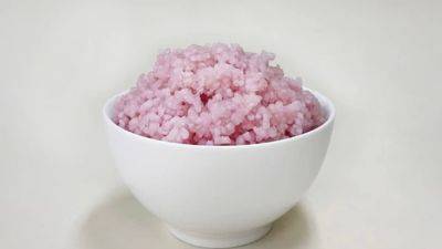 South Korean scientists develop sustainable ‘meaty rice’ opening up ‘world of possibilities’