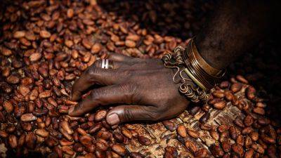Cocoa prices surge to all-time highs as bad weather hurts West Africa crop yield