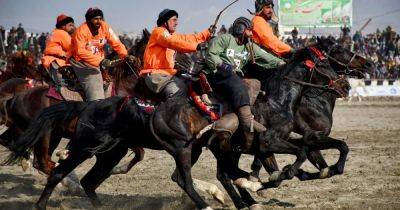 The pain and gain in the Afghan game of buzkashi