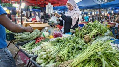 Joseph Sipalan - Malaysians could pay more for vegetables as worker exodus sparks supply fears: ‘locals don’t want the jobs’ - scmp.com - Malaysia - state Johor