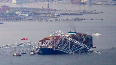 Lori Ann LaRocco - Baltimore port crisis: World's largest container ship company, MSC, dumps diverted cargo problem on US companies - cnbc.com - Usa - city Baltimore