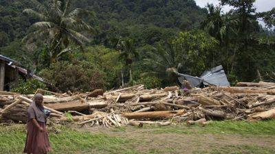 In Indonesia, deforestation is intensifying disasters from severe weather and climate change