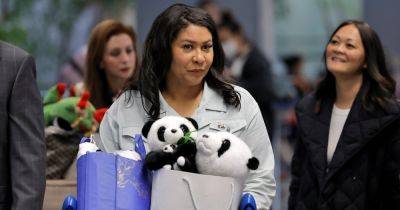 San Francisco Mayor Gives Panda Diplomacy a Try