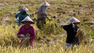 El Niño - Mohammad Yunus - Southeast Asia’s heatwaves threaten food security. How can nations adapt? - scmp.com - Burma - Thailand - Malaysia - Vietnam