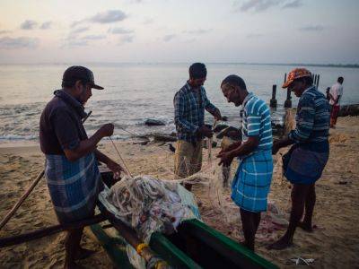 The inexplicable rise of kidney disease in Sri Lanka’s farming communities - aljazeera.com - Sri Lanka