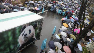 South Koreans bid emotional farewell to beloved panda leaving for China