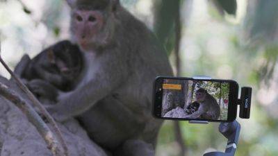 Cruelty for clicks: Cambodia is investigating YouTubers’ abuse of monkeys at the Angkor UNESCO site - apnews.com - Cambodia