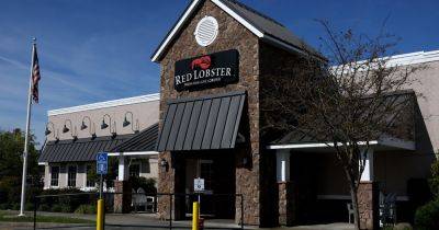 Mike Ives - Dozens of Red Lobster Restaurants Are Auctioning Off Equipment - nytimes.com - Usa - state Florida - state Maine