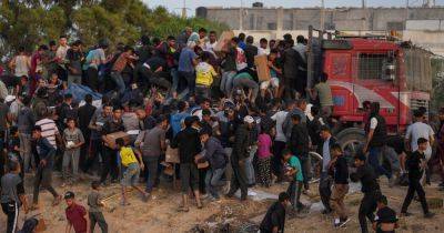 Amelia Nierenberg - Friday Briefing: Aid Trickles Through Gaza Pier - nytimes.com -  Hague - Israel - Palestine - South Africa