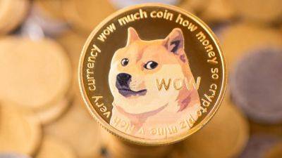 Japanese dog who inspired ‘Dogecoin’ meme, beloved by Elon Musk, has died