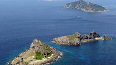 Chinese ships spotted near disputed East China Sea islets every day this year, Japan says