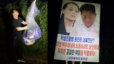 South Korea kicks up a stink about faeces-filled balloons from North