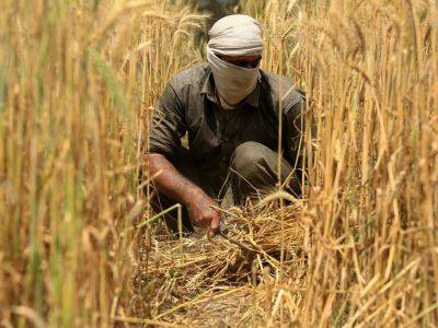 a classauthorlink hrefhttpswwwaljazeeracomauthorabidhussainAbid Hussaina - Why are Pakistan’s wheat farmers protesting against the government? - aljazeera.com - Pakistan - city Lahore - city Islamabad, Pakistan