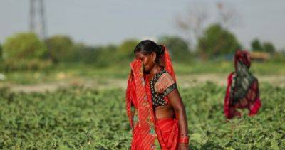 Uttar Pradesh - Animals collapse, water shortages bite amid India's searing heat - asiaone.com - India -  New Delhi -  Delhi