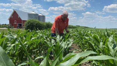 Corn hits 3-month high; soy, wheat climb on global crop weather woes