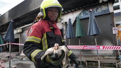 Fire at Thailand’s famous Chatuchak Weekend Market kills hundreds of caged animals