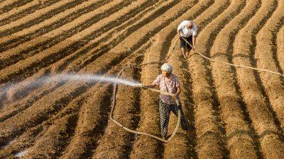 China’s record heat and heavy rain raise food security concerns