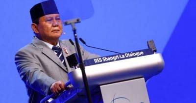 Prabowo says Indonesia willing to send peacekeeping troops to Gaza