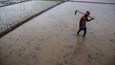 Climate change makes India’s monsoons erratic. Can farmers still find a way to prosper?