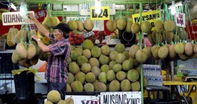 Li Qiang - China allows imports of fresh Malaysian durians, but exporters expect challenges - asiaone.com - China - Thailand - Malaysia - Vietnam - city Beijing
