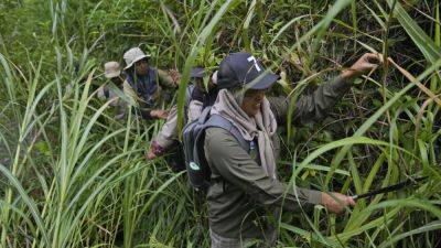 In Indonesia, women ranger teams go on patrol to slow deforestation - apnews.com - Indonesia - Germany