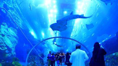 Dubai Mall, one of the world's largest, is getting even bigger with a $400 million expansion