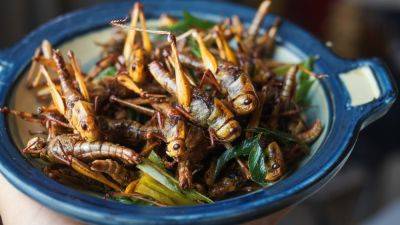 Lee Ying Shan - Locusts in your noodles? Singapore approves 16 insect species as food - cnbc.com - Singapore - city Singapore