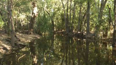 ROD McGUIRK - Rangers shot dead a 14-foot crocodile after it killed a girl swimming in an Australian creek - apnews.com - Australia - city Melbourne, Australia