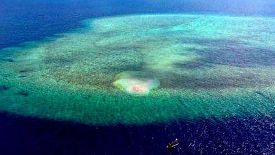 Reuters - Sabina Shoal - Philippines denies South China Sea damage claims, says ‘it’s China’ that harmed corals - scmp.com - China - Philippines - city Beijing - city Manila