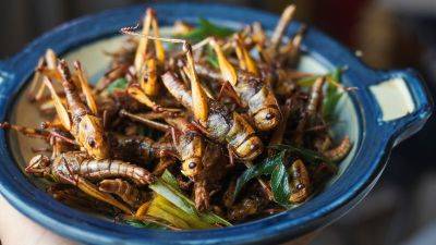 Silkworm satay? Singapore approves insects as food